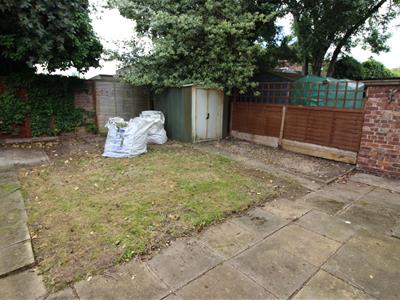 Picture 11